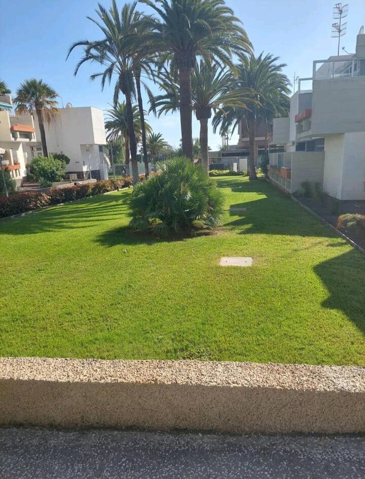Apartamento Orita Las Galletas Exterior foto