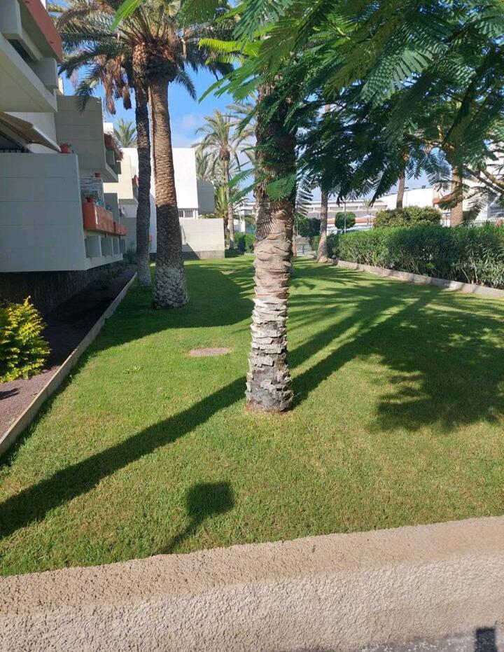 Apartamento Orita Las Galletas Exterior foto